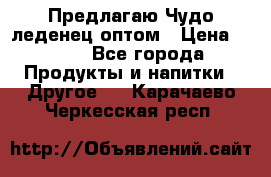 Предлагаю Чудо леденец оптом › Цена ­ 200 - Все города Продукты и напитки » Другое   . Карачаево-Черкесская респ.